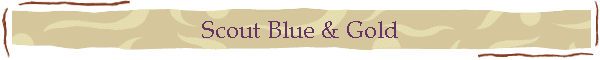 Scout Blue & Gold